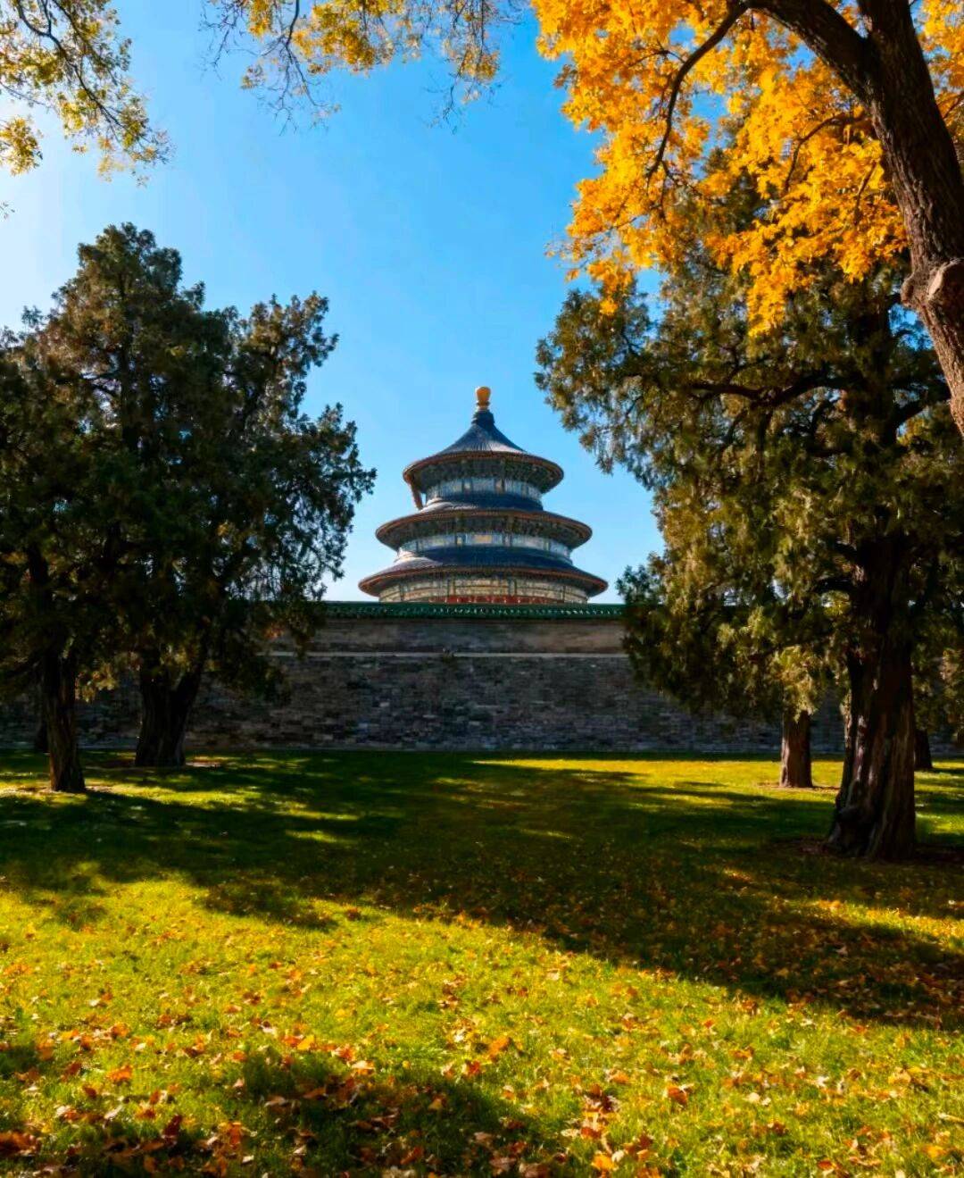 游出炉！好途旅游成行业标杆澳门新葡京网页北京高端定制(图2)